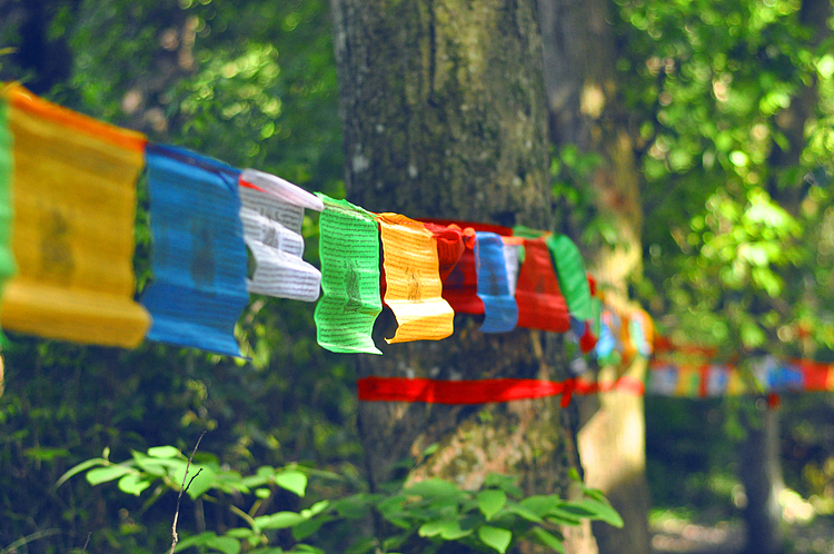 本朴中国·高悬经幡于净土庐山 · 祈福回向至四川雅安 · 众生安乐 · 天下康宁（图ZOTMyMjg3Ng==） - 人文/纪实摄影 - 站酷设计师素禾kiki原创素材 - 站酷ZCOOL