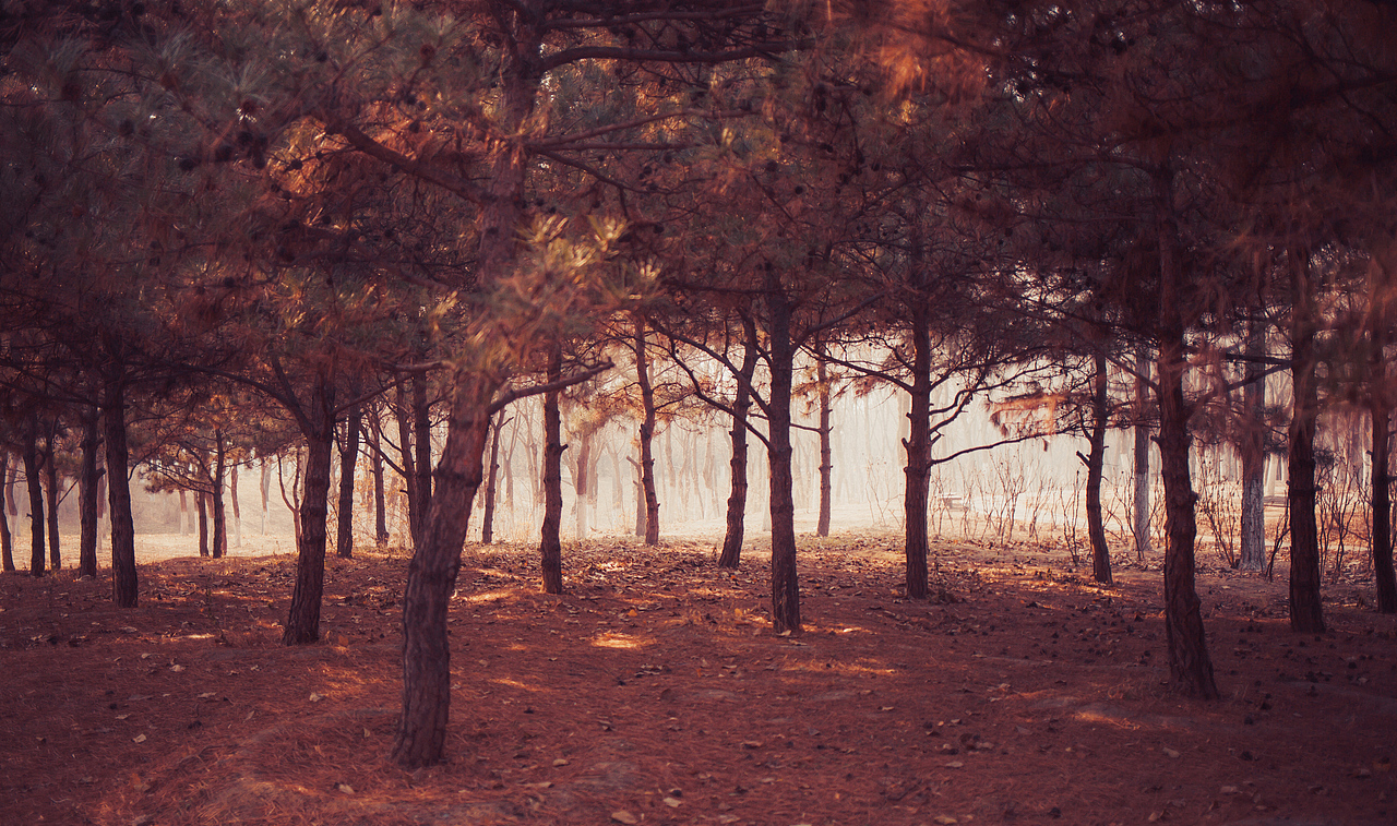 鲁道夫鹿鼻子（图ZODIwNTk2Njg=） - 人像摄影 - 站酷设计师吴舒克_原创素材 - 站酷ZCOOL