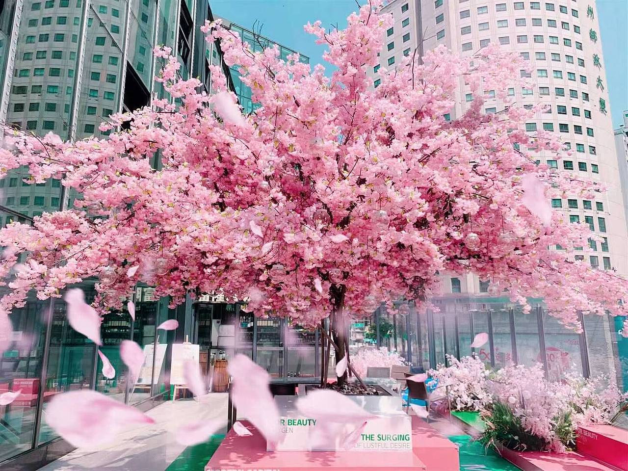 《造痒计划》猫咪相亲大会