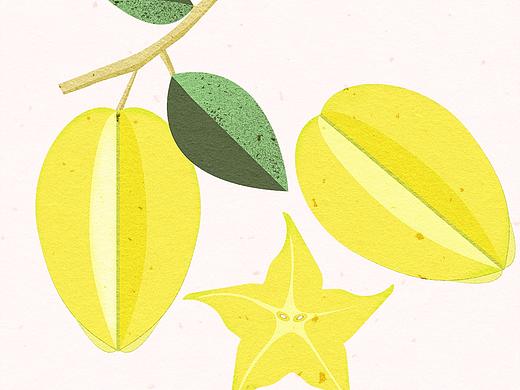 水果合集（个人主页-ZMzI1MjIyMzI=） - 商业插画 - 站酷设计师不晚君原创素材 - 站酷ZCOOL