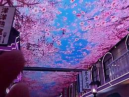 规划化方案