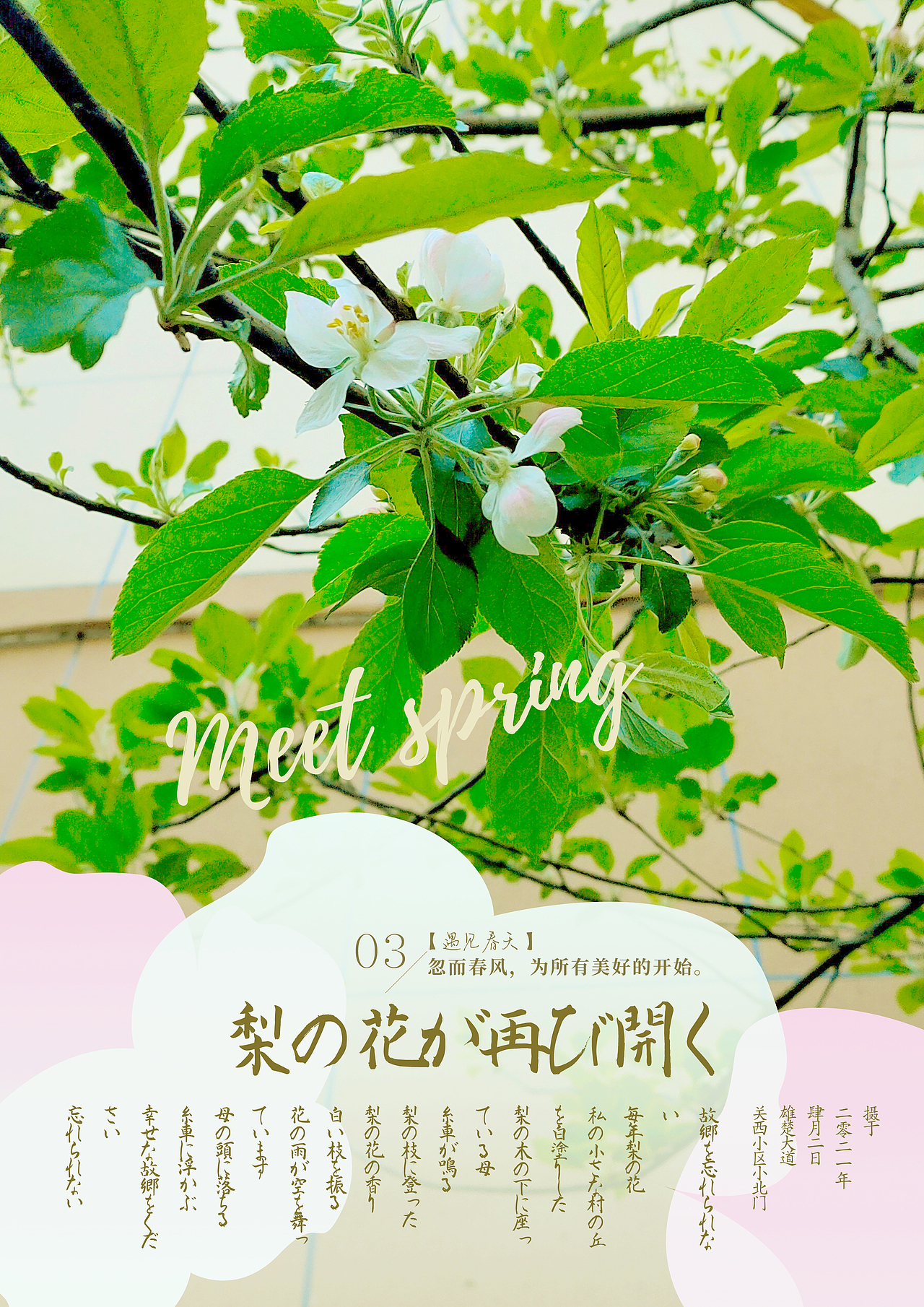 人间草木（二）（图ZMjg0NzAxNjY4） - 人文/纪实摄影 - 站酷设计师兔牙锅锅原创素材 - 站酷ZCOOL