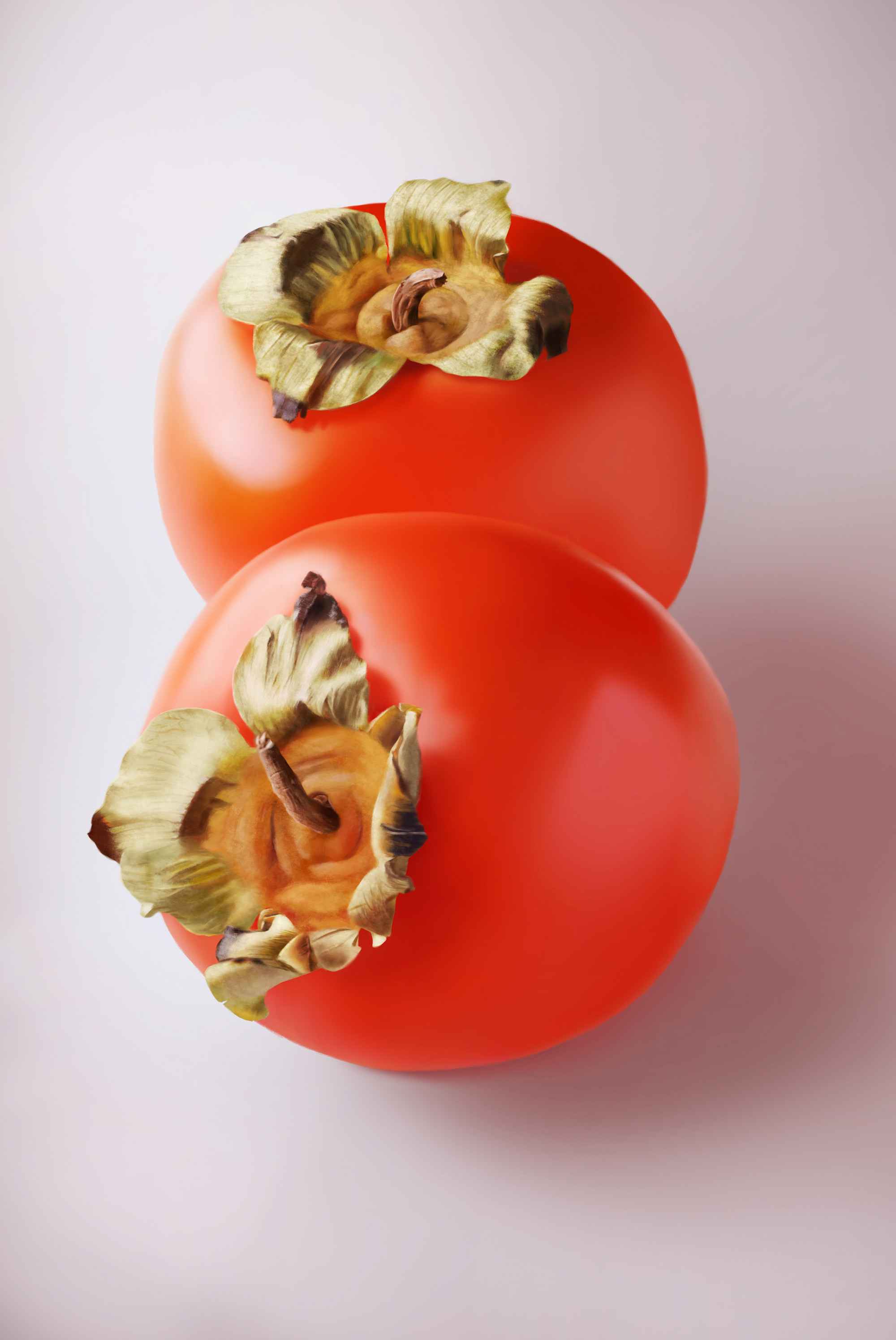 写实手绘-静物组合-柿子画法