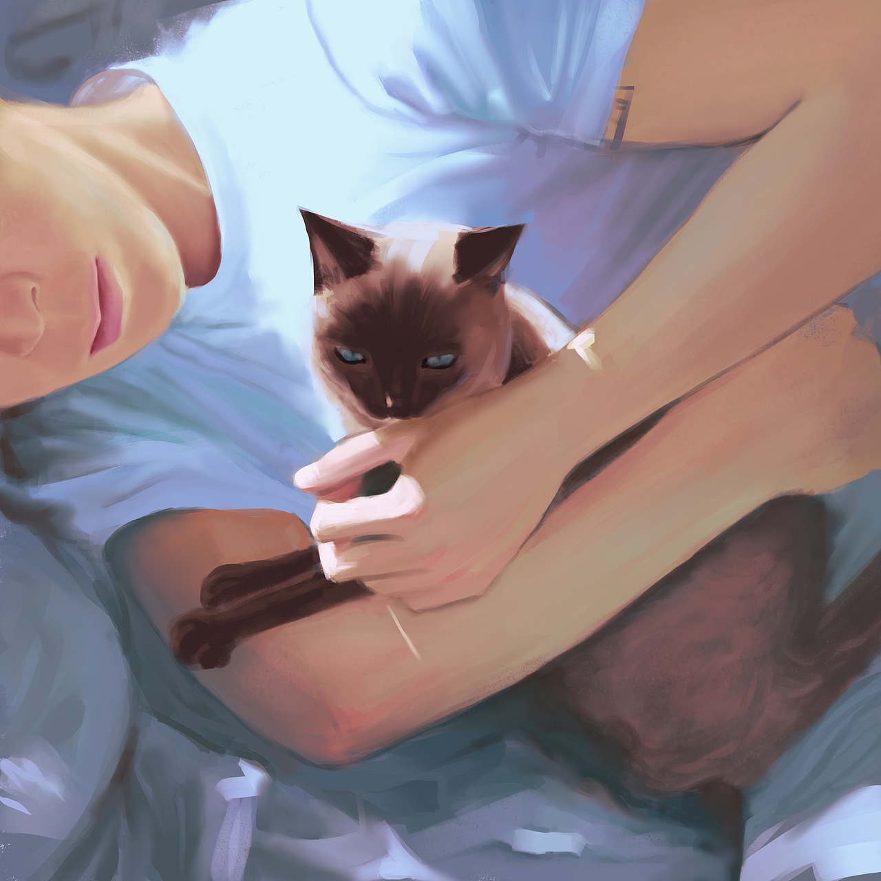 抱着一只暹罗猫|插画|创作习作|爱画画的breeze_原创作品-站酷zcool