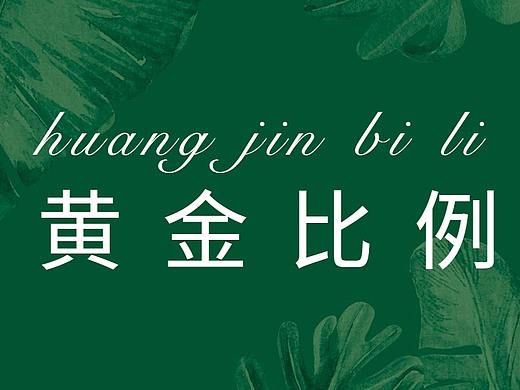黄金比例在海边，logo，画册，包装里面的运用技巧