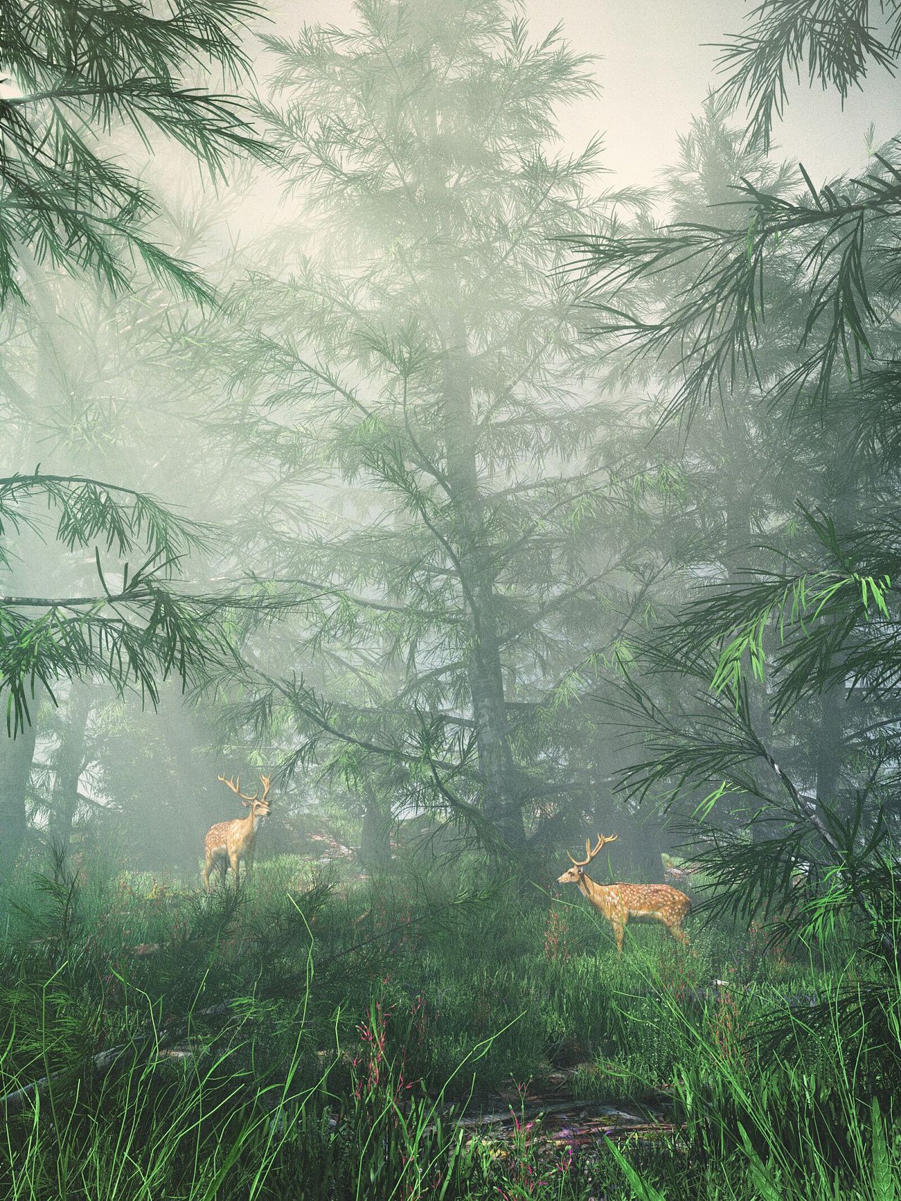 OC第二十期学员作品——NiaoNiao的C4D课堂(上)