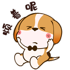 王次狼的日常动态表情包