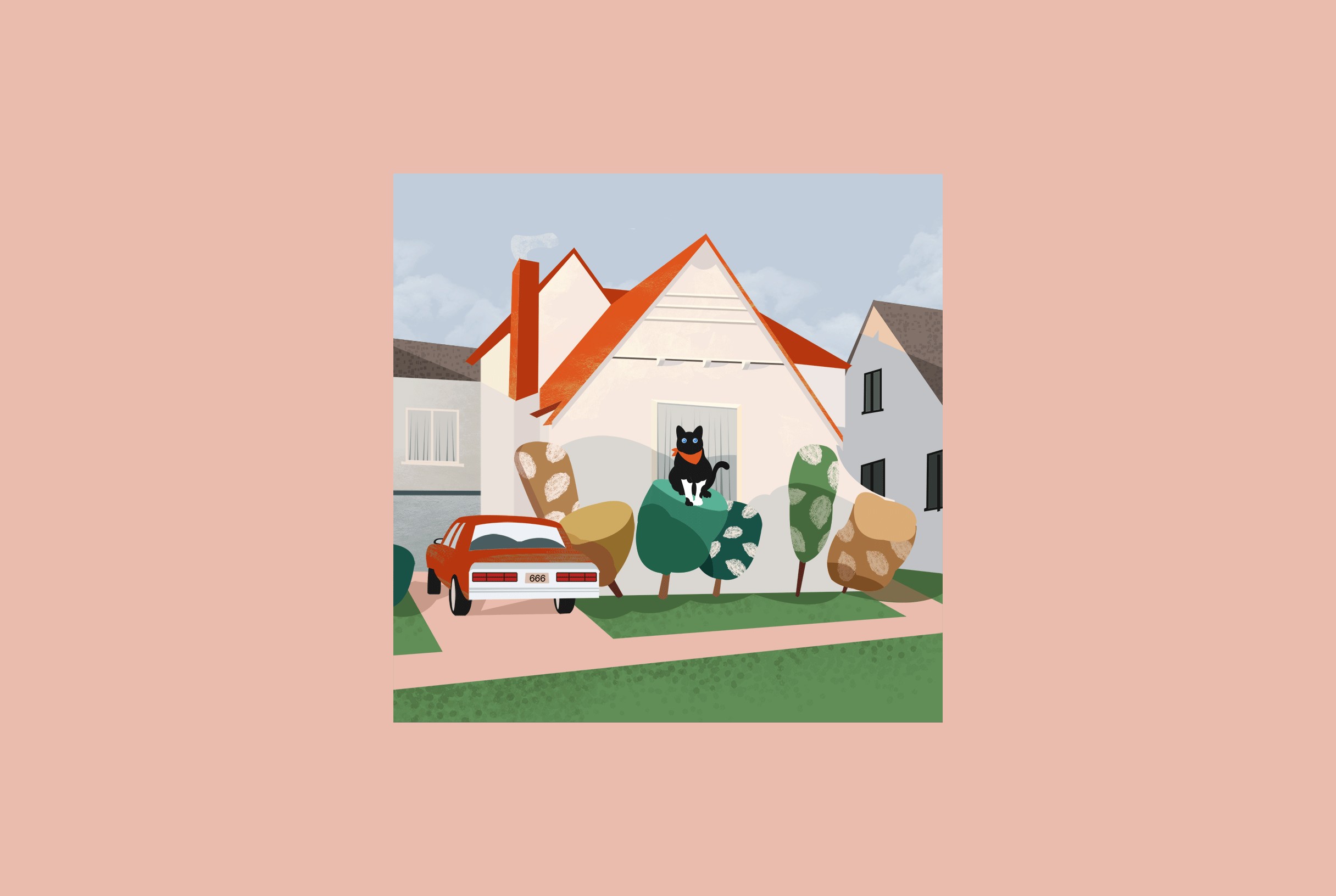 一只奶牛色的小猫咪