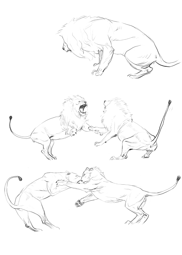 地铁上练习（动物篇）（图ZMTQ4MTk0NzEy） - 创作习作 - 站酷设计师S肚子爱画画D原创素材 - 站酷ZCOOL