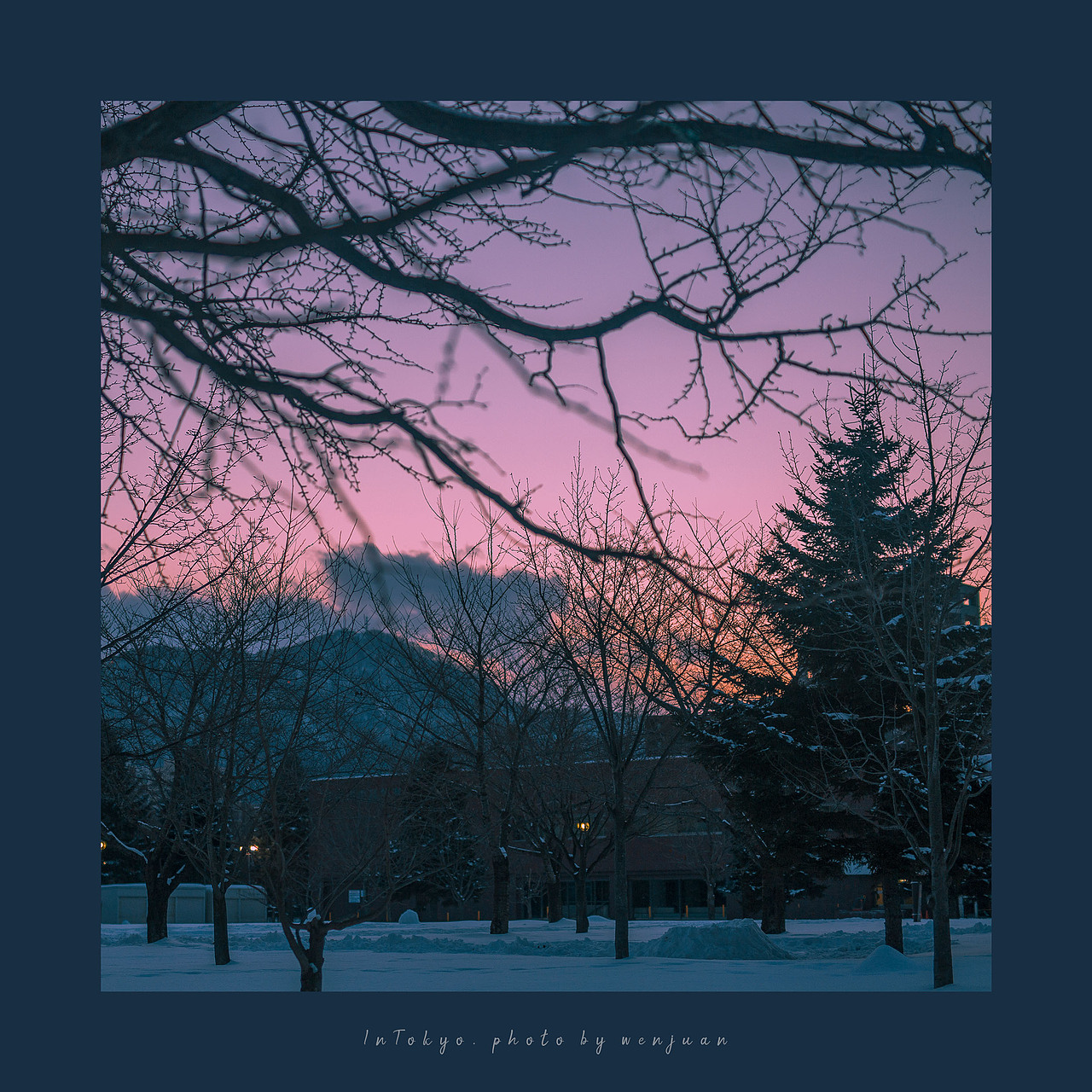 《不孤单的圣诞节》-在东京的第63个故事（图ZMTkxNjk3NzUy） - 人文/纪实摄影 - 站酷设计师阳光呀阳光你别走原创素材 - 站酷ZCOOL