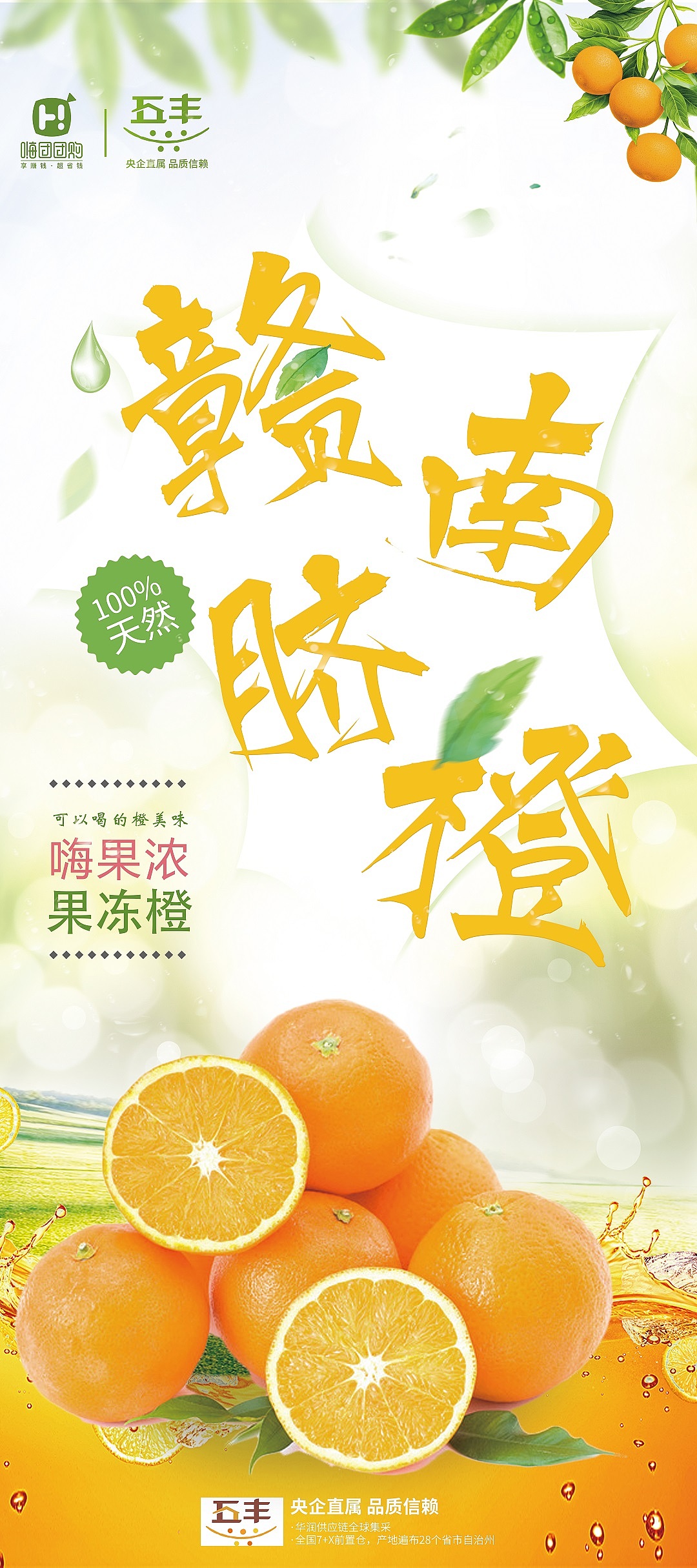 果冻橙 赣南脐橙易拉宝/展架 海报设计