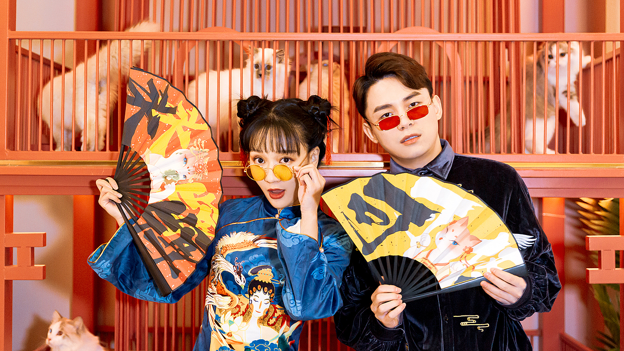 不露猫色沉浸式撸猫馆/品牌设计