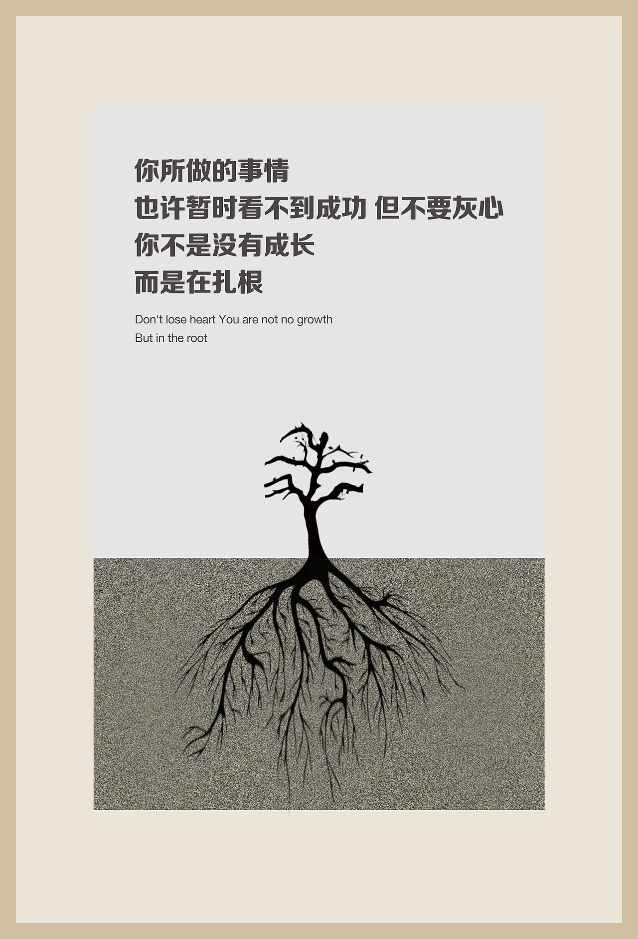 只有扎好根打好基础,才能更好的成长.