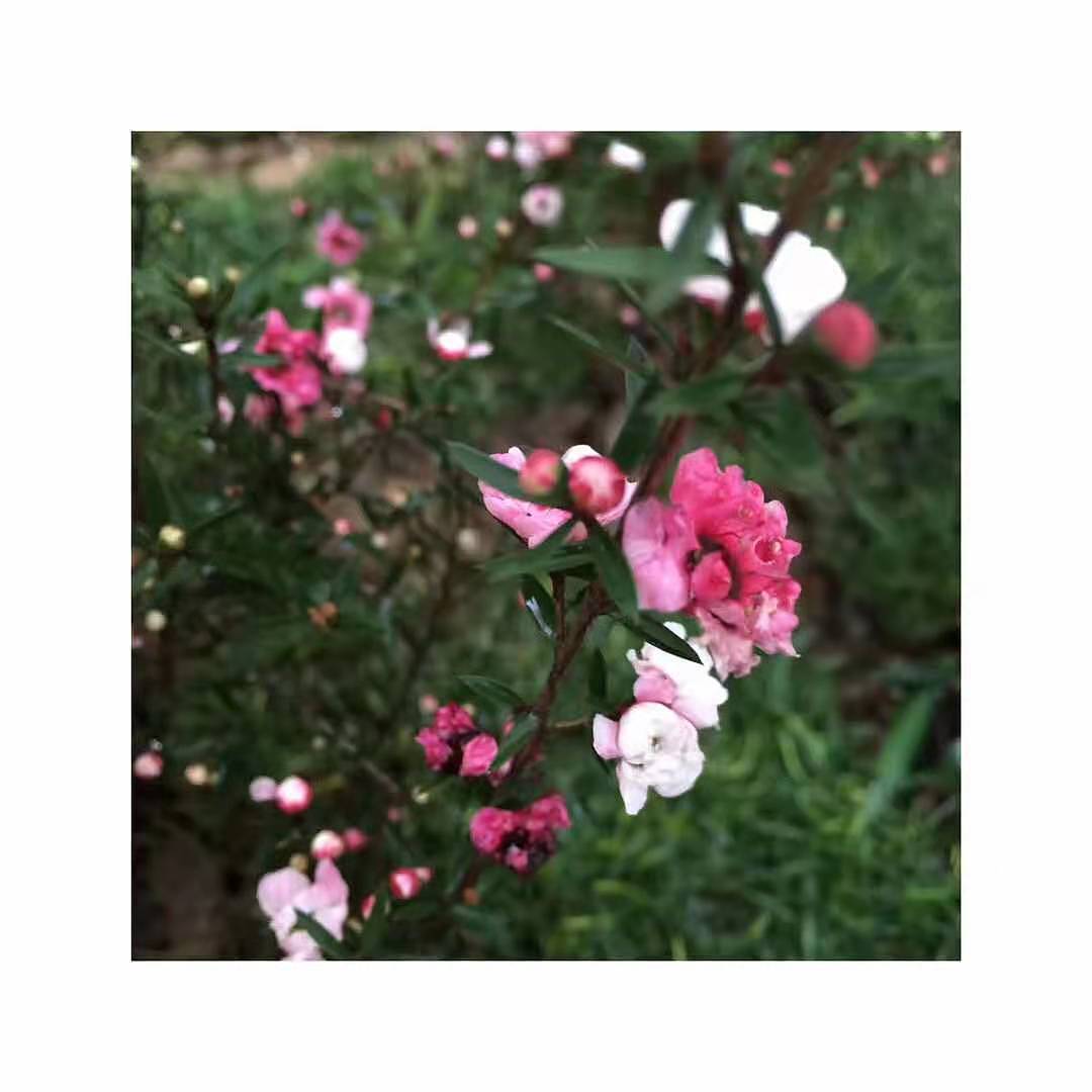 蚌埠天河湖绿色农庄 造景图（图ZMTg4ODI0ODQ4） - 家装设计 - 站酷设计师素悉美学空间2原创素材 - 站酷ZCOOL