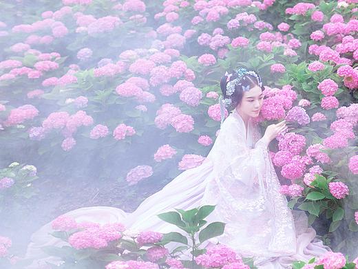 绣球花