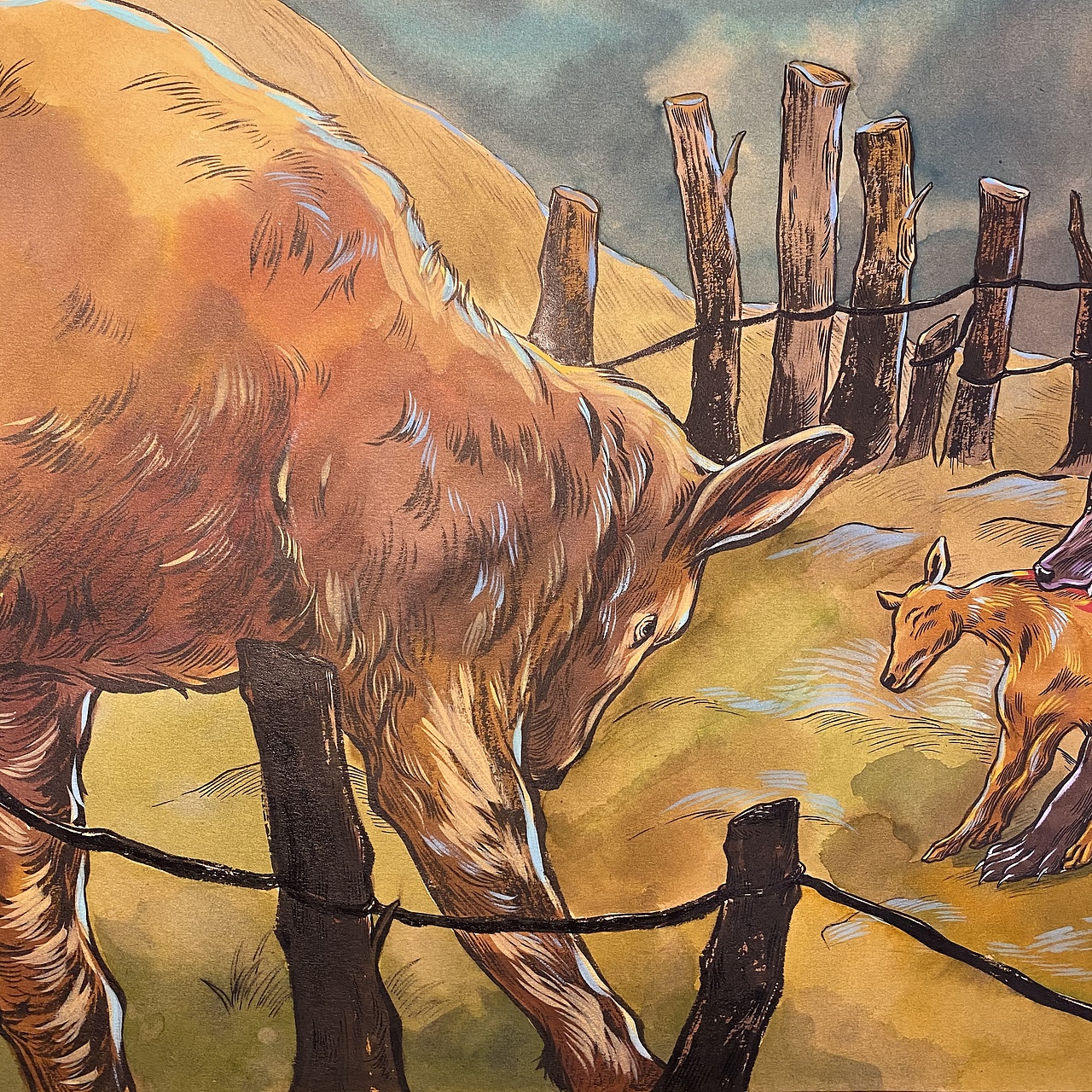 《狼王梦》连环画|插画|绘本|芝麻酥油饼 - 原创作品 - 站酷 (zcool)