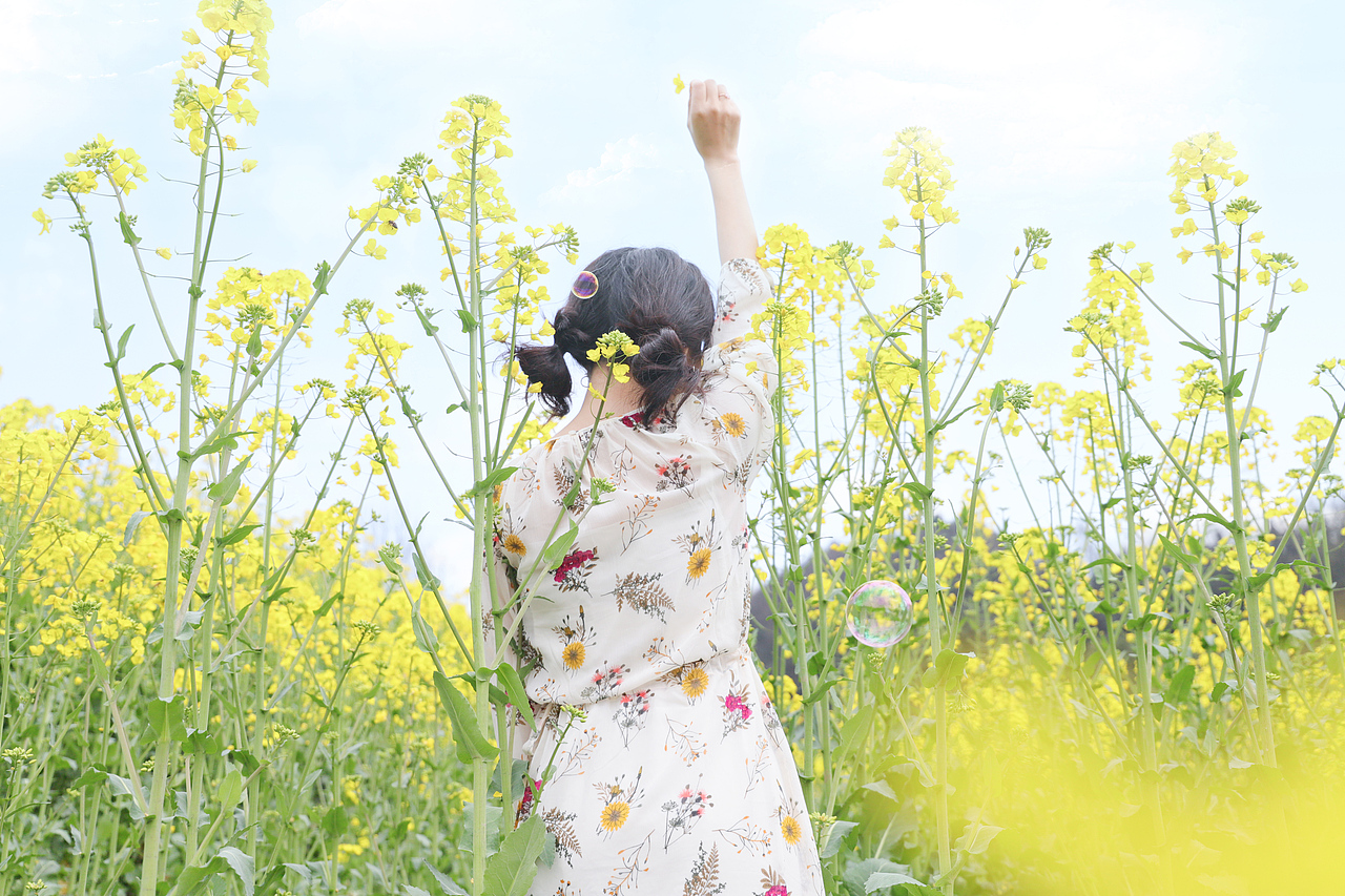 3月，花开的季节