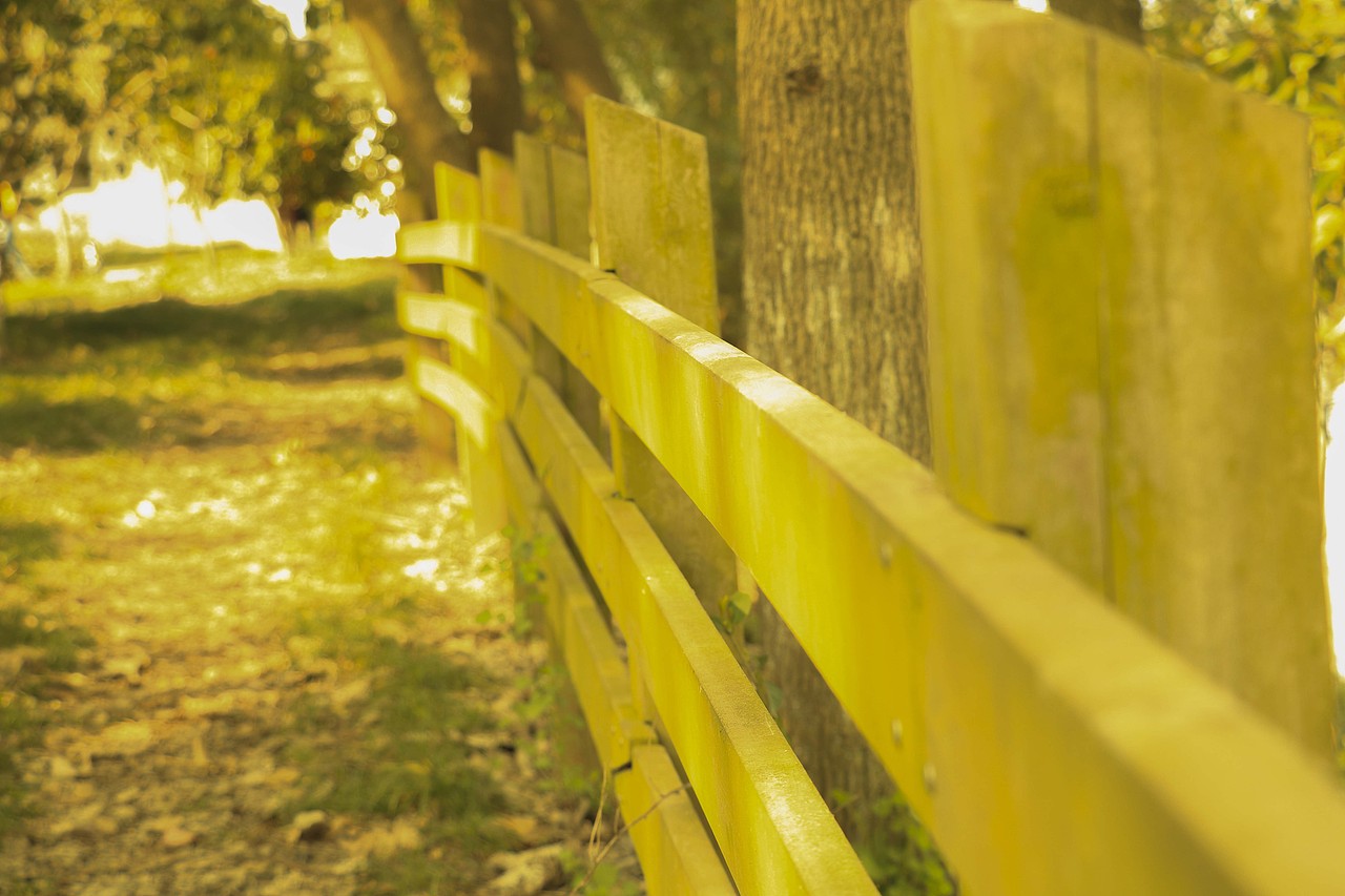 所到之处,皆是风景。