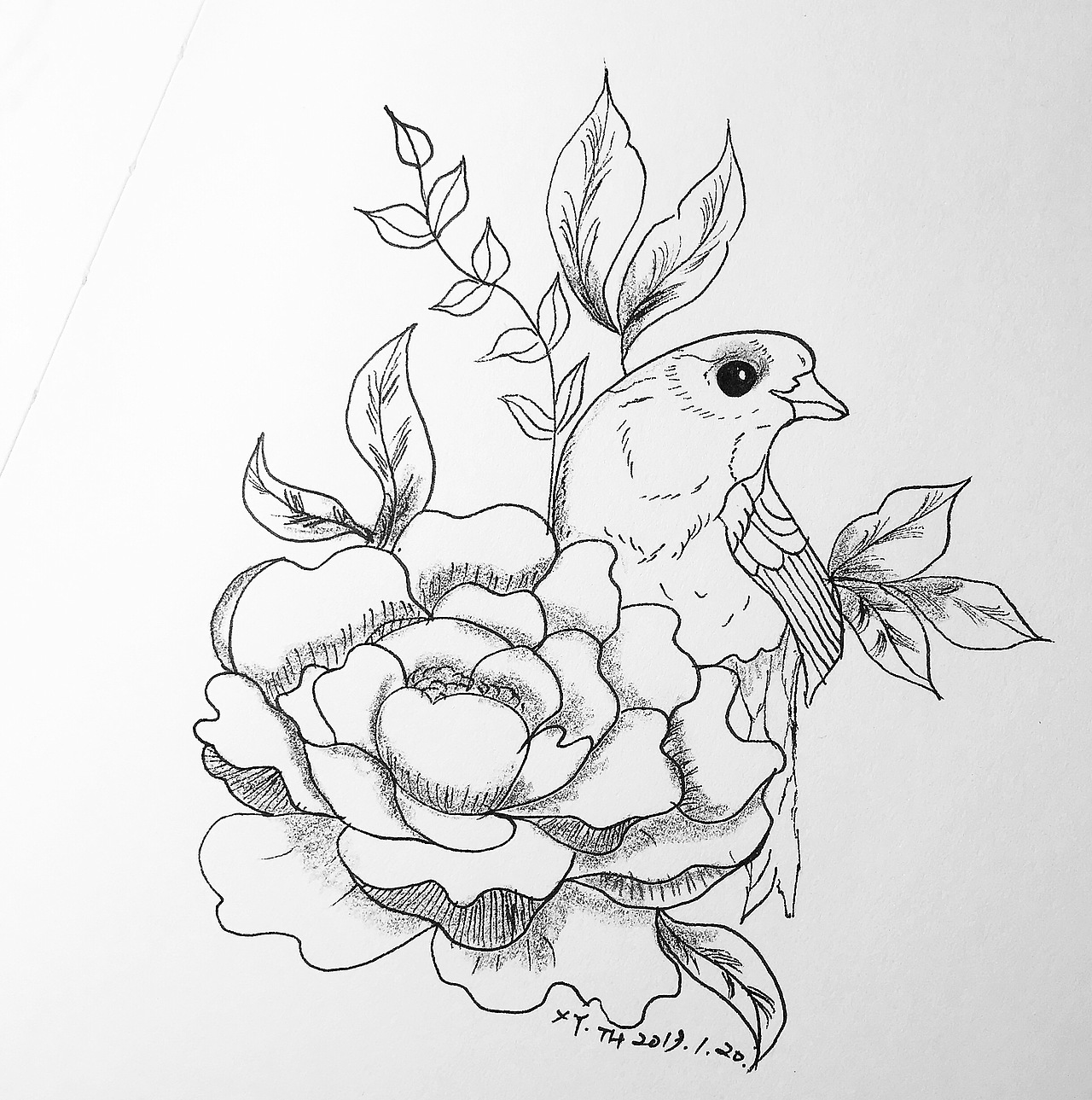 彩铅，针管笔作品【三】（图ZMTY0MDUwNTI4） - 创作习作 - 站酷设计师英子手绘插画控原创素材 - 站酷ZCOOL