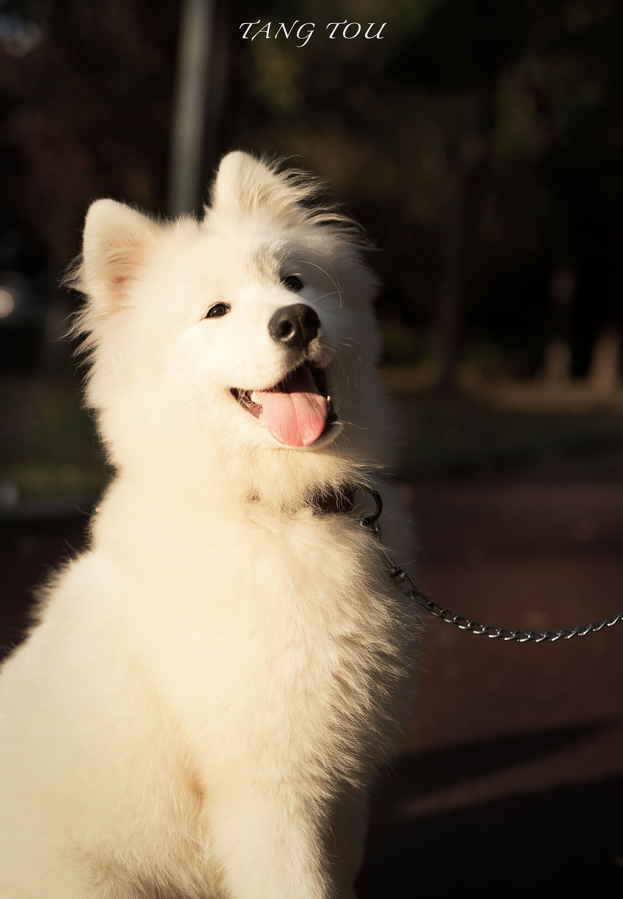 我家的微笑天使