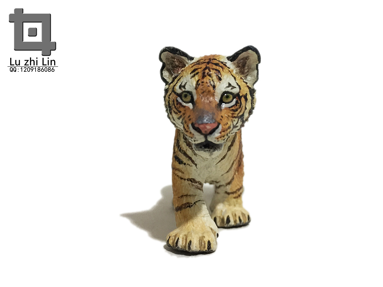 动物模型 老虎展示