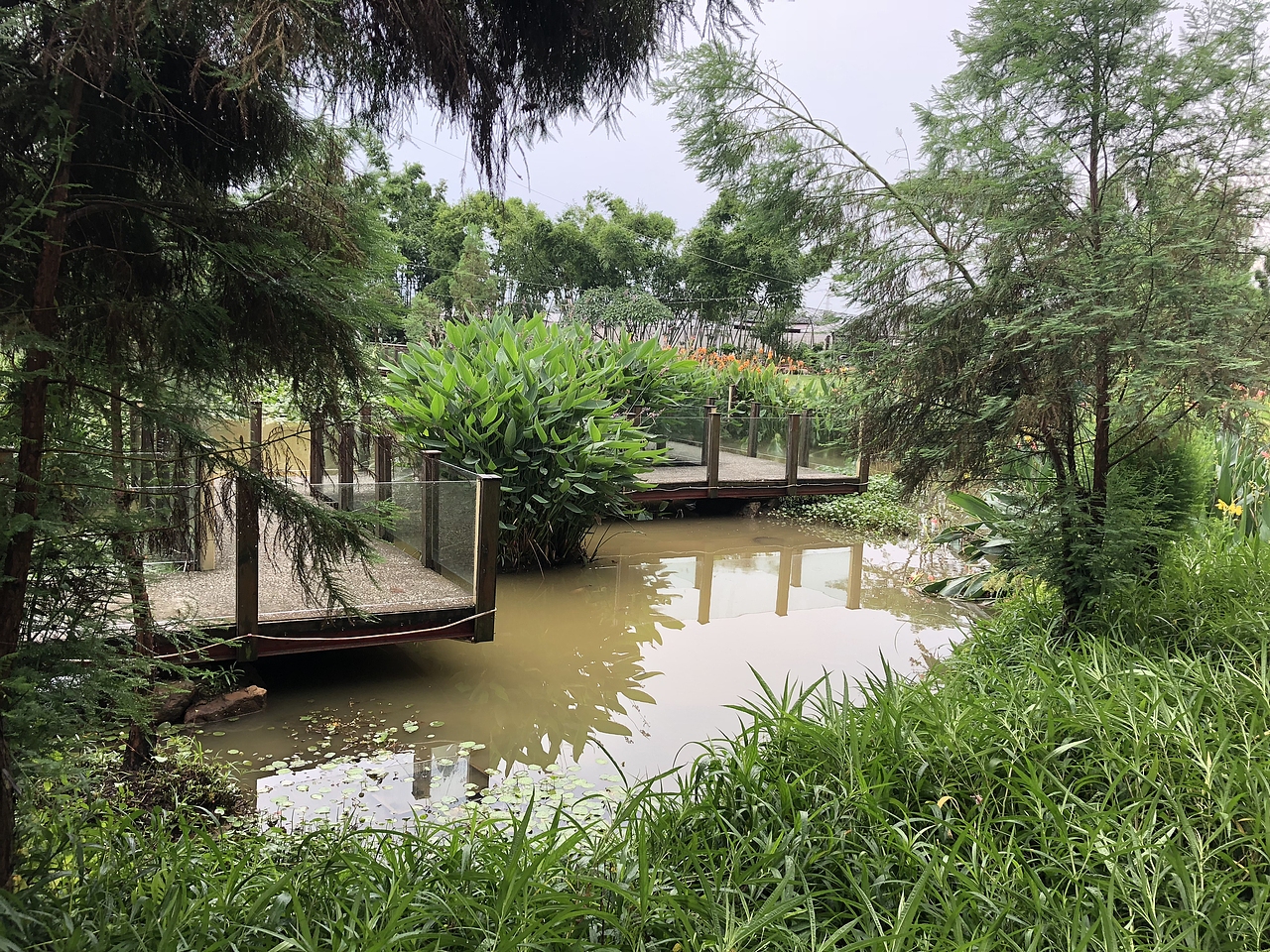 佛山順德三桂村 一次雨中攝影（圖ZMTE3MTk0NTQ4） - 風(fēng)光攝影 - 站酷設(shè)計(jì)師Gavinskywalker原創(chuàng)素材 - 站酷ZCOOL