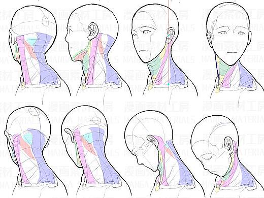 【漫画入门教程】如何画好人物头部动作不僵硬？