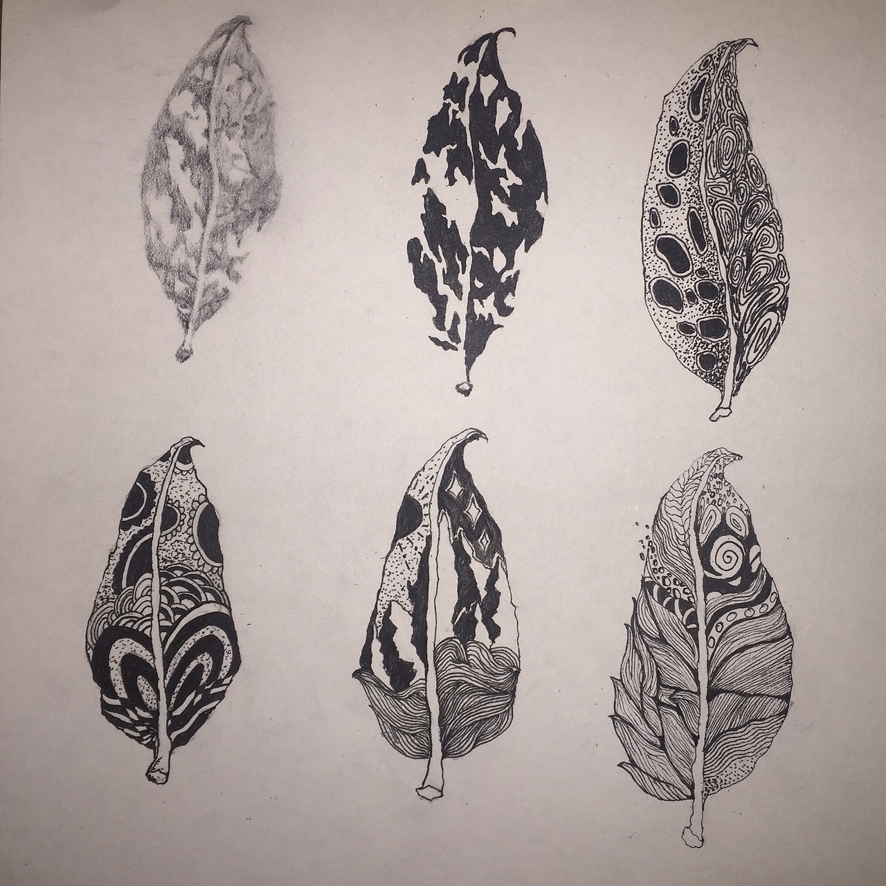 叶子构成|平面|图案|设计简单 - 原创作品 - 站酷 (zcool)