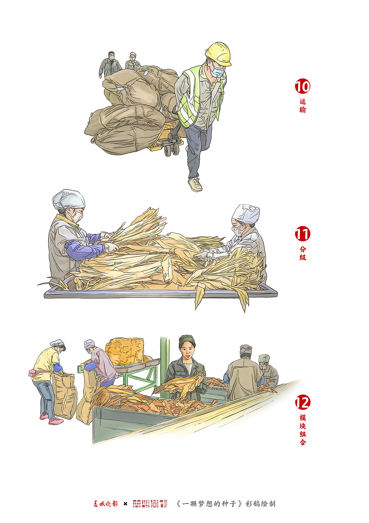 《一颗种子的梦想》登报专刊系列插画绘制（图ZMjg1NzU5ODk2） - 商业插画 - 站酷设计师森特笑虎原创素材 - 站酷ZCOOL