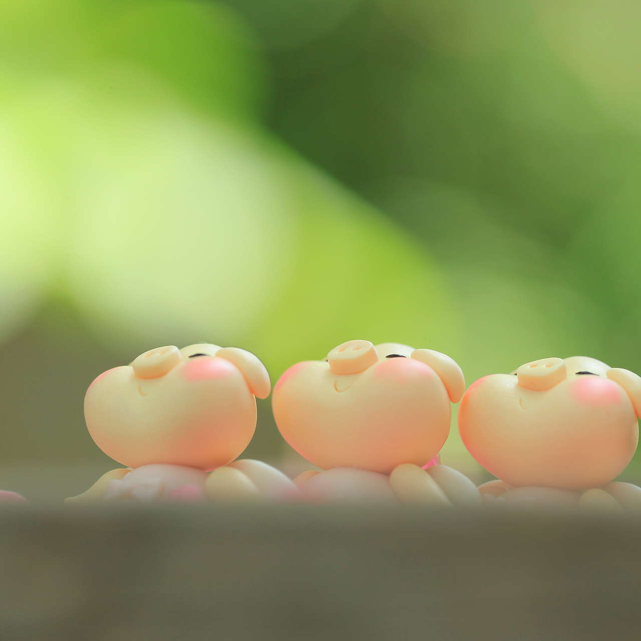 天使猪猪产品摄影