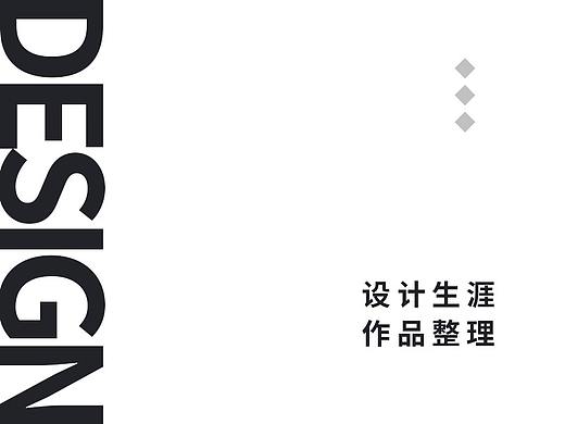 设计生涯总结