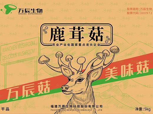 菌菇包装—鹿茸菇外箱设计稿