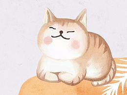 猫