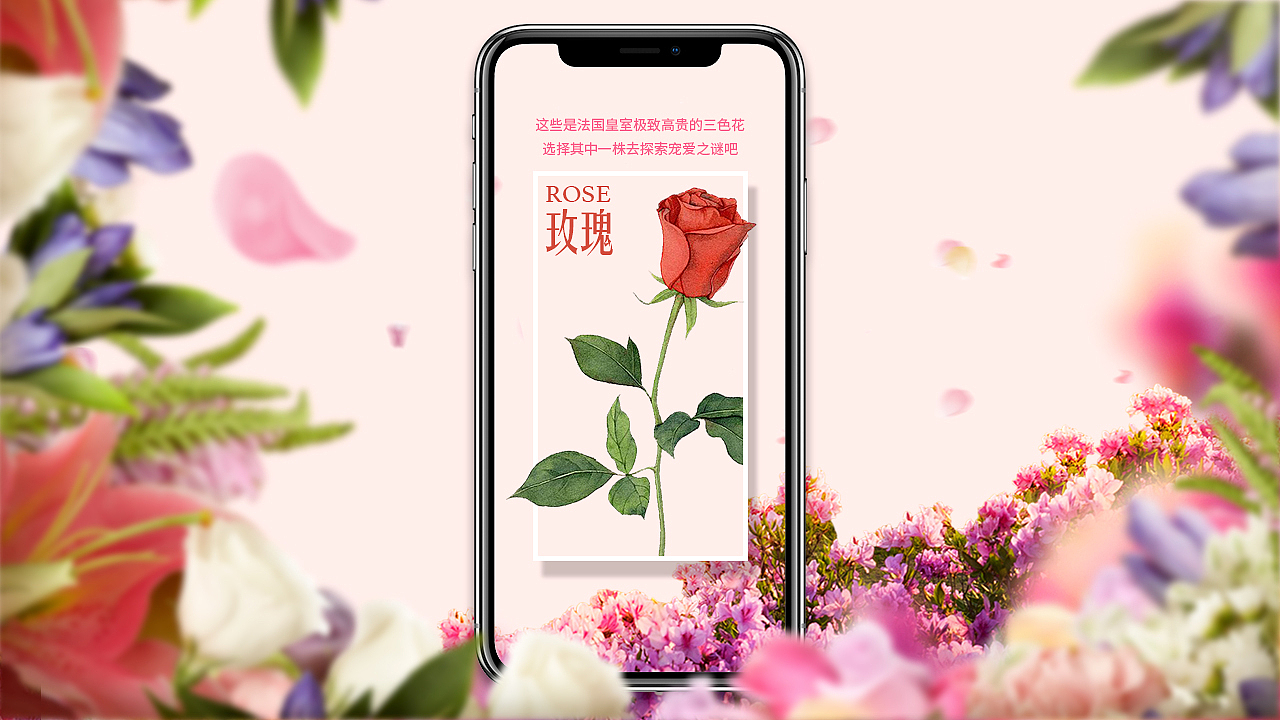 Ellebebe嗳乐蓓贝花卉系列上色H5（图ZMTk5MjQ2NjI0） - 移动端网页 - 站酷设计师丁满渣人原创素材 - 站酷ZCOOL