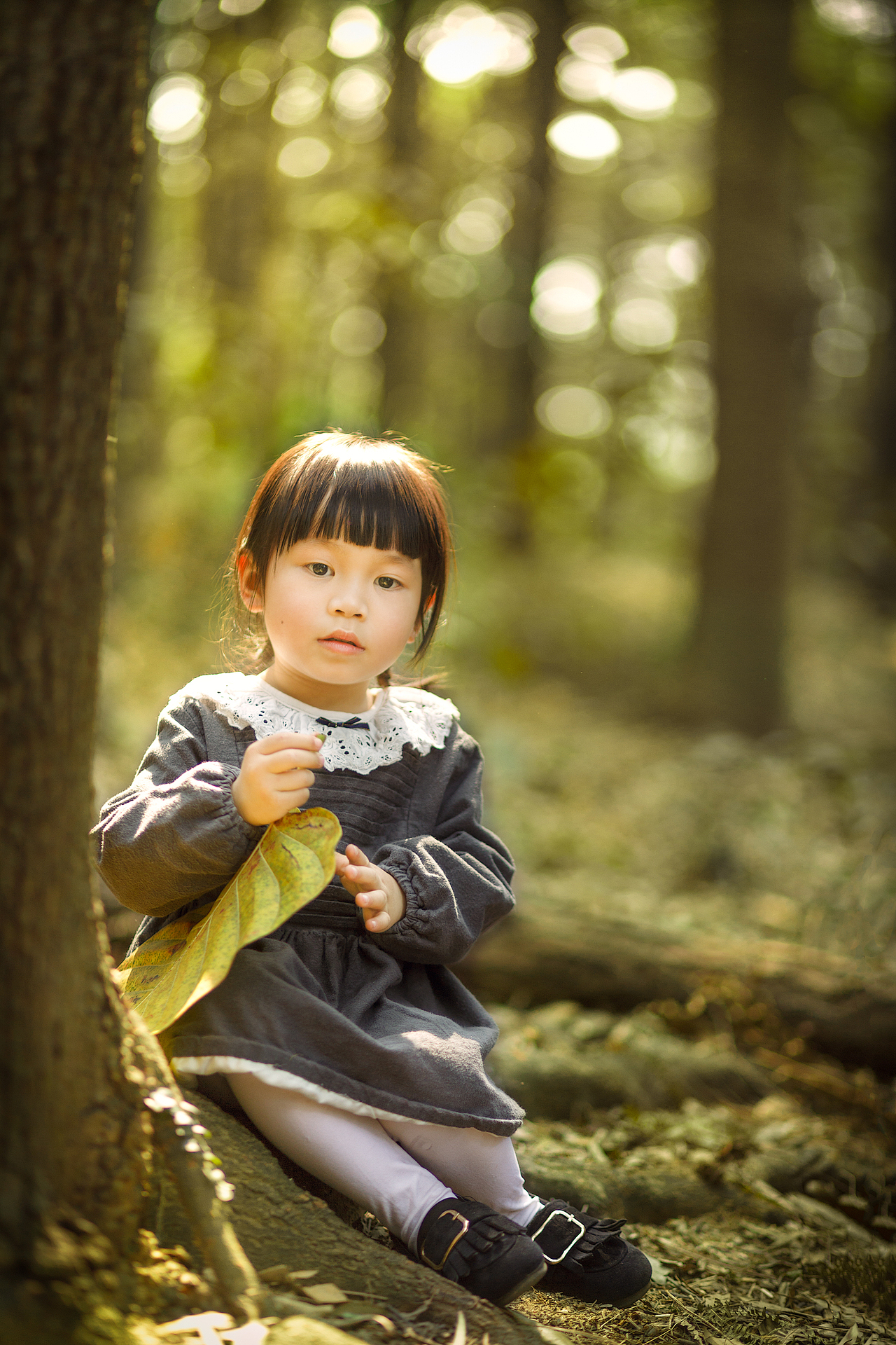 分享收藏早夏花儿与少年老夫的少女心夜景人像作品信息创作时间2017