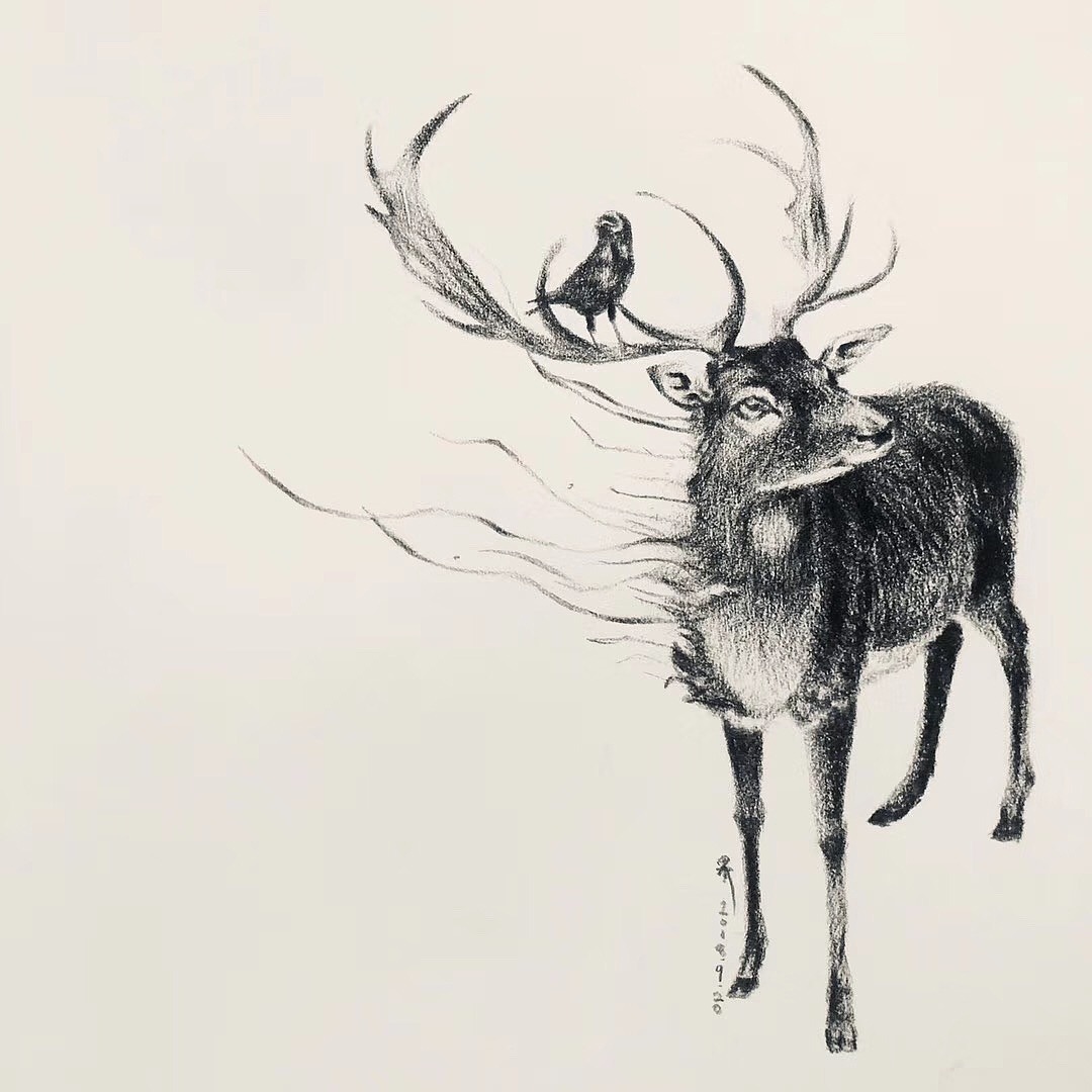 插画 手绘（图ZMTQ2MjQyMzM2） - 创作习作 - 站酷设计师果酱超凶原创素材 - 站酷ZCOOL