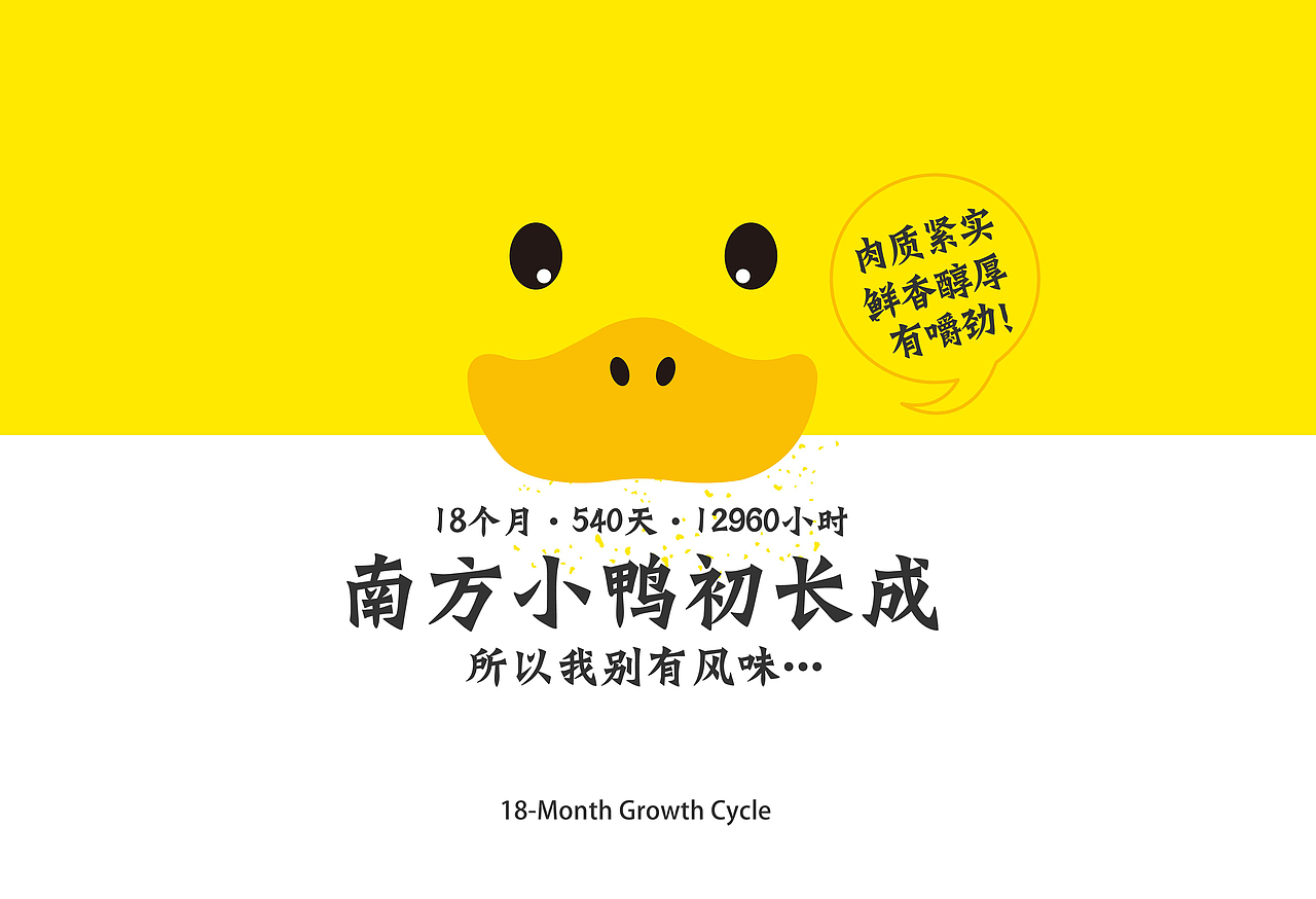 尝知奇品牌全案设计