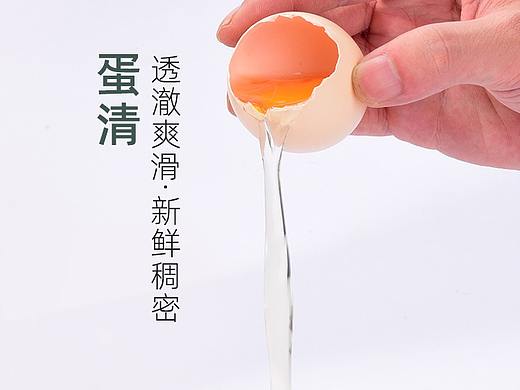 南阳淘宝摄影土鸡蛋产品拍照制作拼多多详情页
