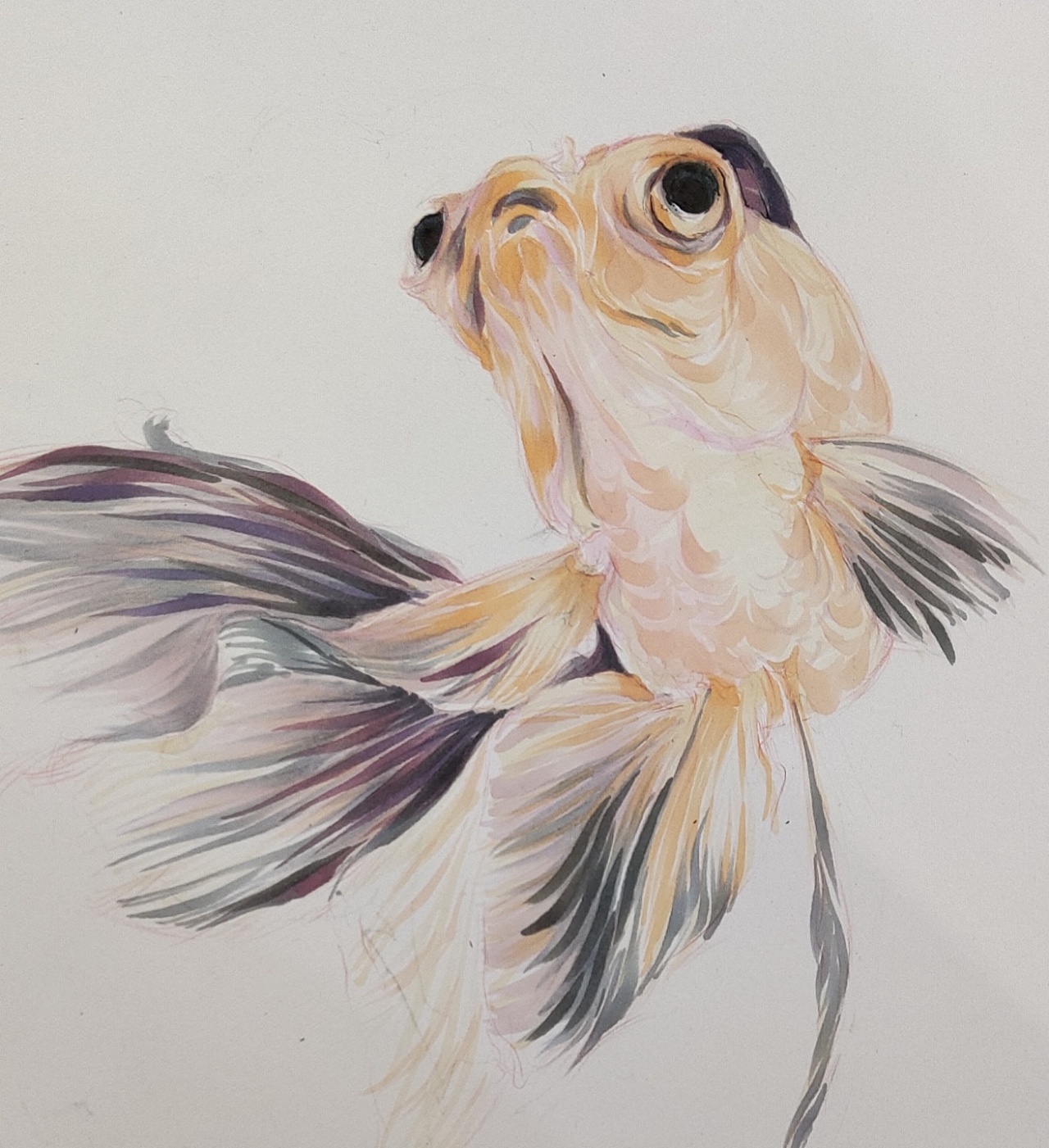 马克笔手绘_金鱼|纯艺术|绘画|哈梨子_水彩 - 原创作品 - 站酷 (zcool