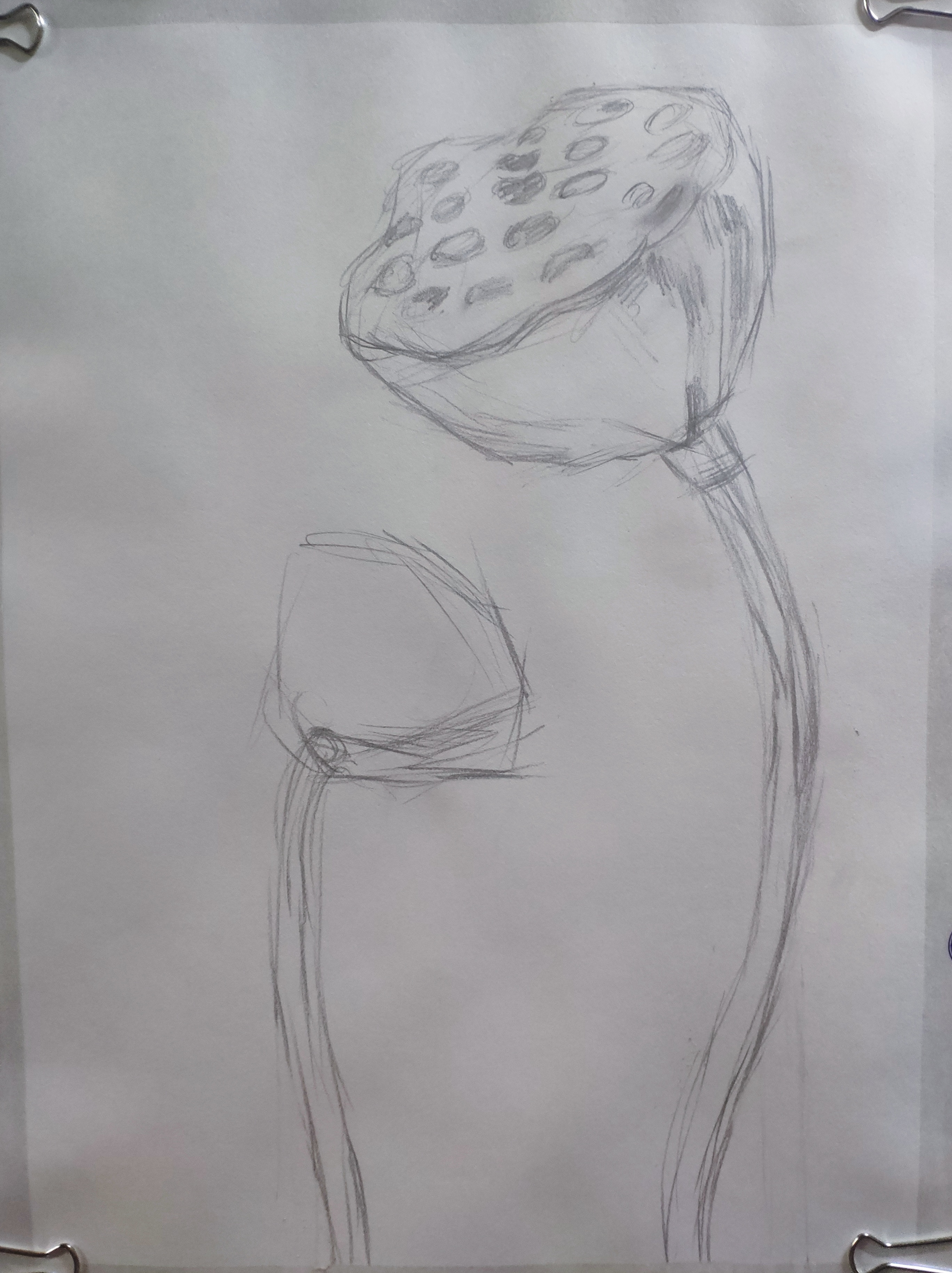 出淤泥而不染|纯艺术|绘画|小云哥y - 原创作品 - 站酷 (zcool)