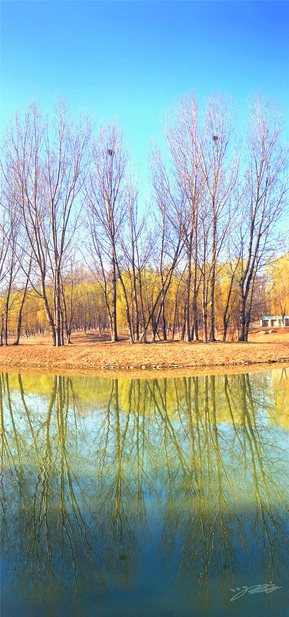 刘勇良纪实摄影:柳依依