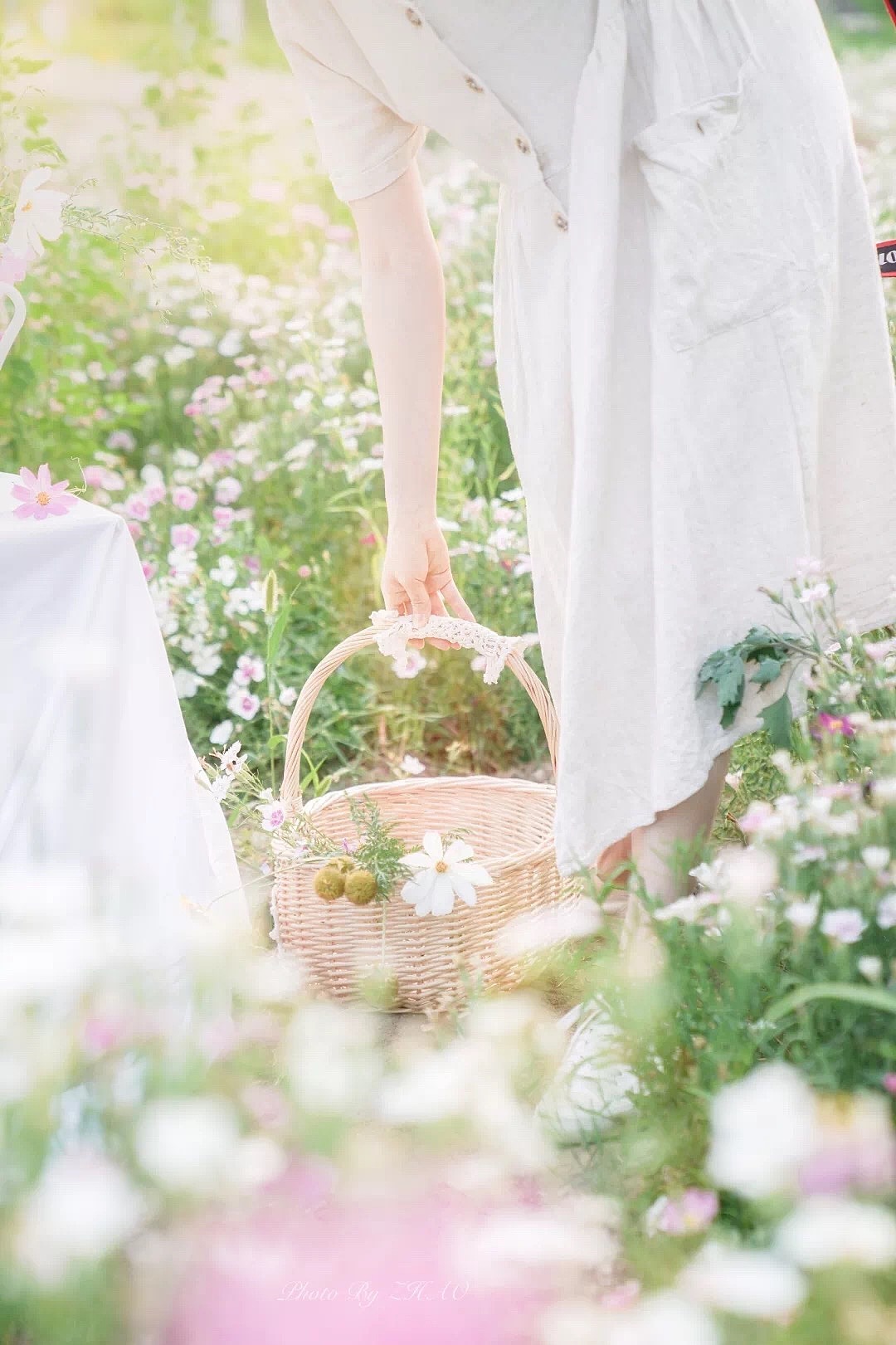 1252第五十五轮约拍#夏天#