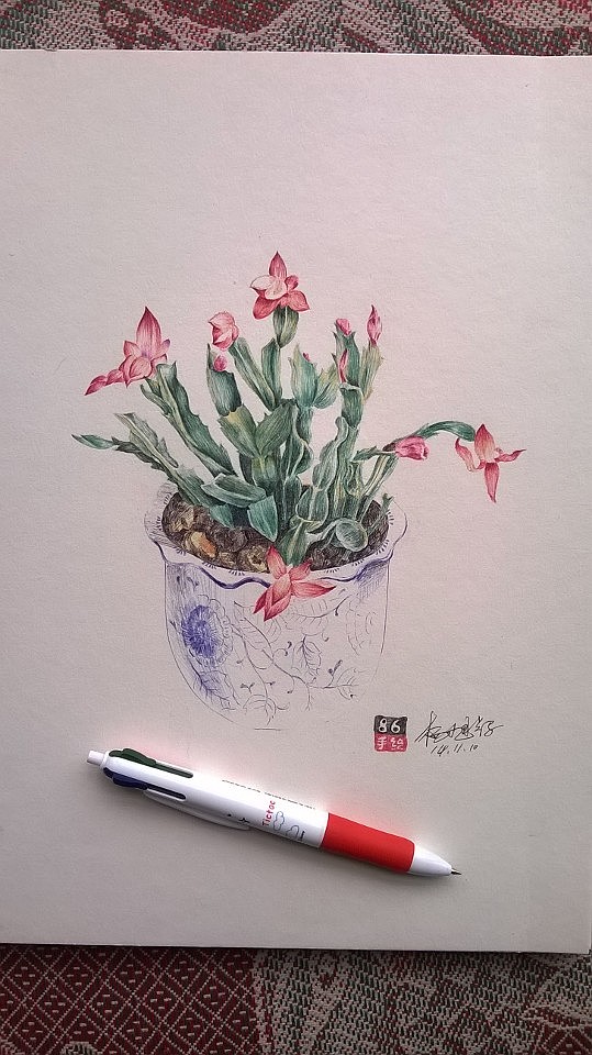圆珠笔画——蟹爪兰（图ZMjE1NDA4ODQ=） - 绘画 - 站酷设计师简一原创素材 - 站酷ZCOOL