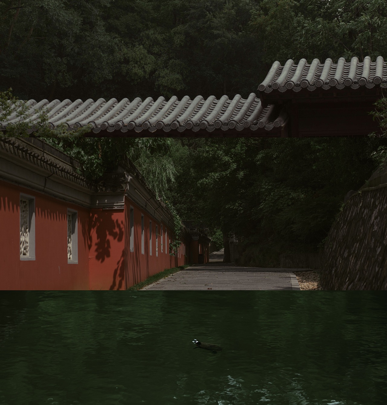 予万物长情,为一人皈依。