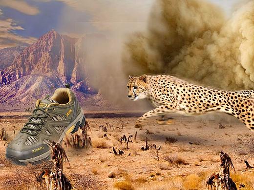 banner（个人主页-ZMjczMzYxMDQ=） - 运营设计 - 站酷设计师薛小媛媛原创素材 - 站酷ZCOOL