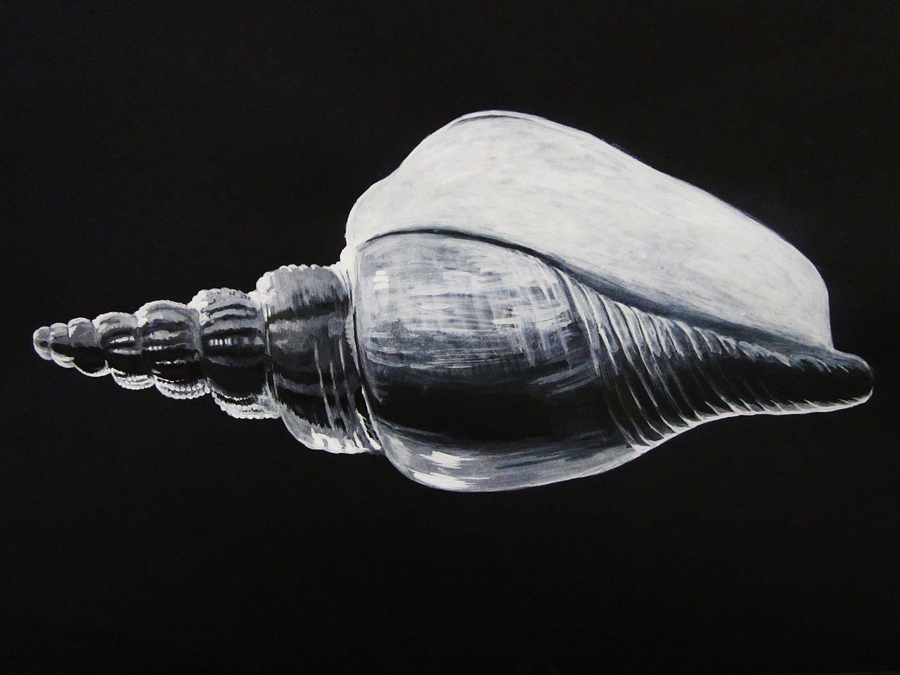 商业插画（在校作品）（图ZNDg3NzE1Mg==） - 商业插画 - 站酷设计师o可o可原创素材 - 站酷ZCOOL
