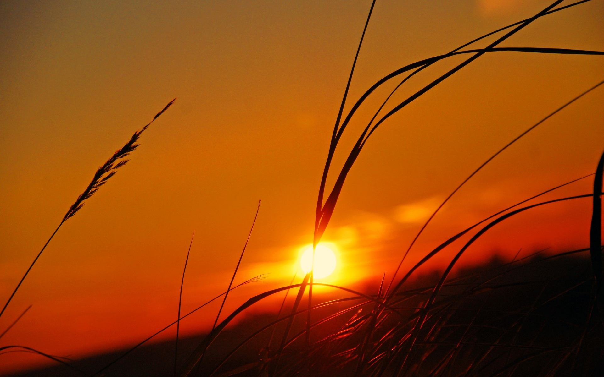 浅谈企业宣传片的一般架构