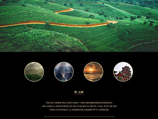 悟·山居品牌提案