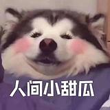 画个袜子的头像