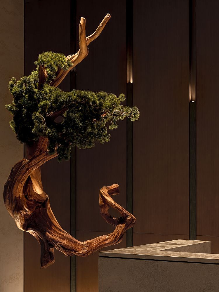 空间摄影：竹影阅翠，伴风眠（图ZMzIwOTYwNzc2） - 商业空间设计 - 站酷设计师TOPIA图派视觉原创素材 - 站酷ZCOOL